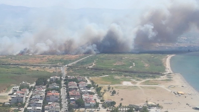 Edremit sahilinde yangın