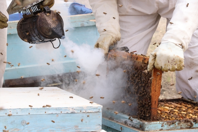 Niğde'deki haziran yağışları bal üreticisinin yüzünü güldürdü