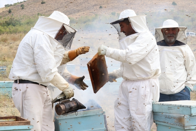 Niğde'deki haziran yağışları bal üreticisinin yüzünü güldürdü