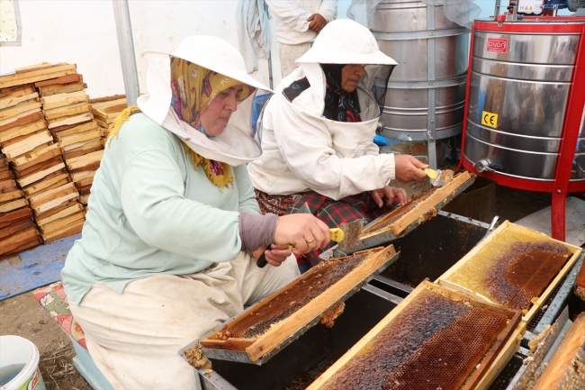 Niğde'deki haziran yağışları bal üreticisinin yüzünü güldürdü