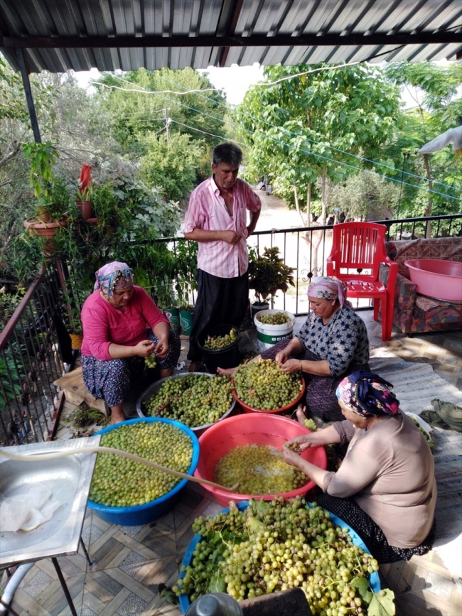 Üzüm pekmezinin bağdan sofraya imece usulü yolculuğu