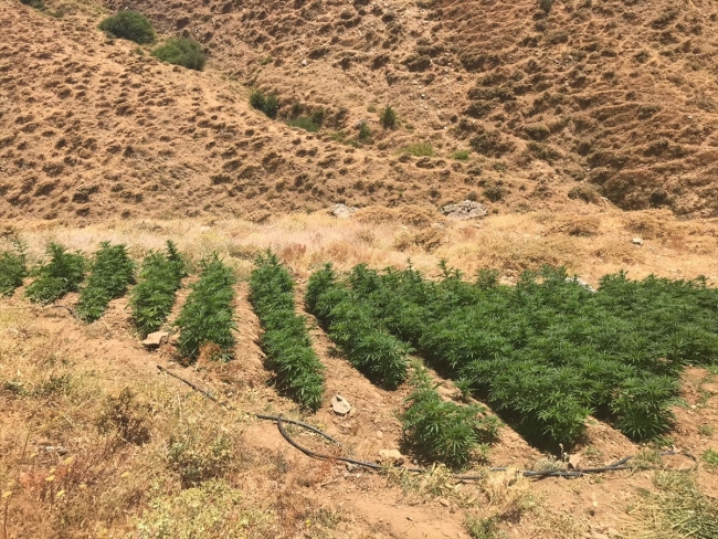 Bingöl'de dev uyuşturucu operasyonu