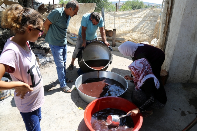 Kara üzüm pekmezinin yolculuğu başladı