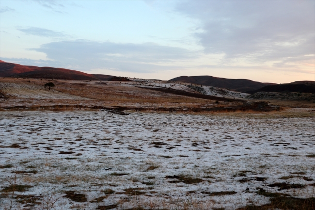 Sivas'ta sele kapılan 16 küçükbaş hayvan telef oldu, 7 ev hasar gördü
