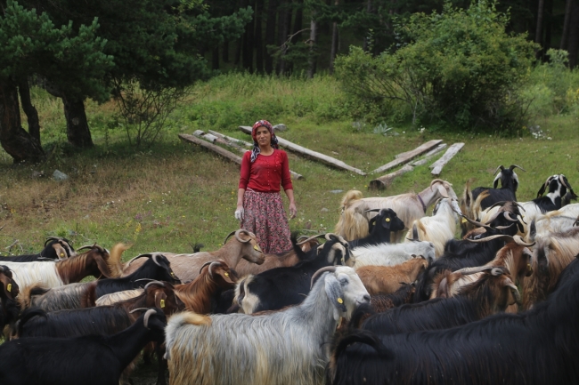 Kastamonu'da Genç Çiftçi Projesi ile 800'den fazla çiftçiye destek