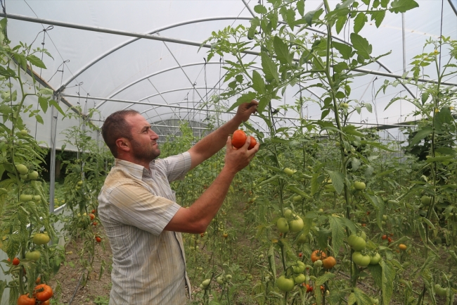 Kastamonu'da Genç Çiftçi Projesi ile 800'den fazla çiftçiye destek