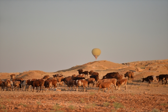 Mardin'de sıcak hava balonu uçuşları başladı