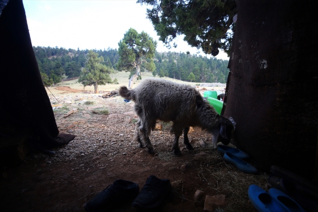 Toros Dağları'nda Yörük kültürünü yaşatıyorlar
