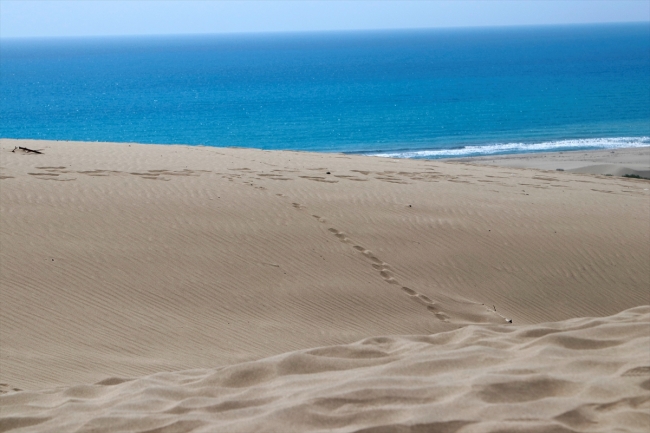 Caretta carettaların kum tepeleriyle ünlü yuvası: Patara