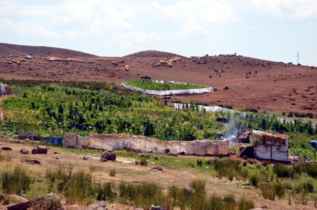 Terörden temizlenen Muş'un Şenyayla bölgesi huzura kavuştu