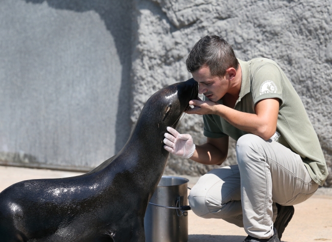 Hayvanat bahçesi sakinlerinin beslenme saati