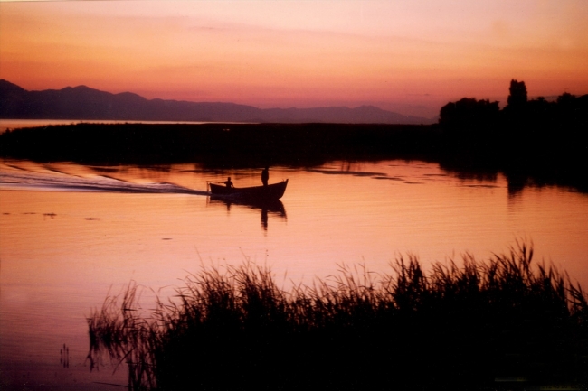 Rehabilite edilen gölet kuş sesleriyle şenleniyor