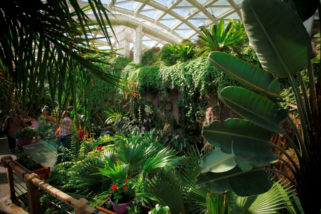 Konya Tropikal Kelebek Bahçesi'ne 4,5 yılda 1,5 milyon ziyaretçi