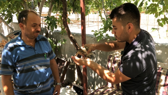 Adıyaman'da yaralı Hint gölet balıkçıl kuşu bulundu