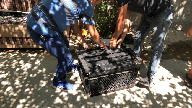 Adıyaman'da yaralı Hint gölet balıkçıl kuşu bulundu