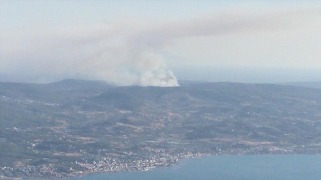 İzmir'de makilik alanda yangın