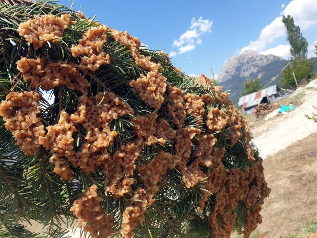 Çukurovalı kadınların tarhana mesaisi başladı