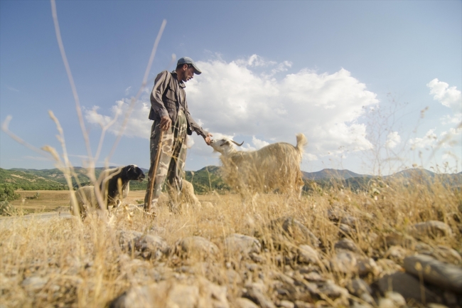 Göçerlerin yayladan köye yolculuğu başladı