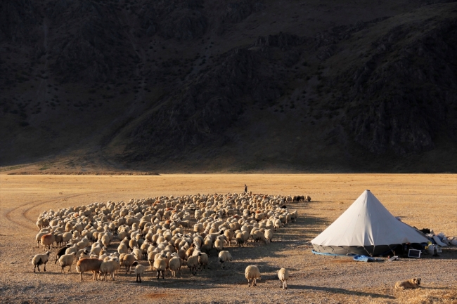 Göçerlerin yayladan köye yolculuğu başladı