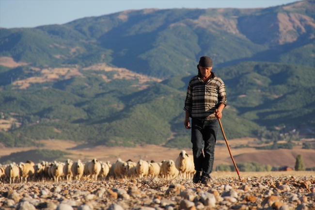 Göçerlerin yayladan köye yolculuğu başladı