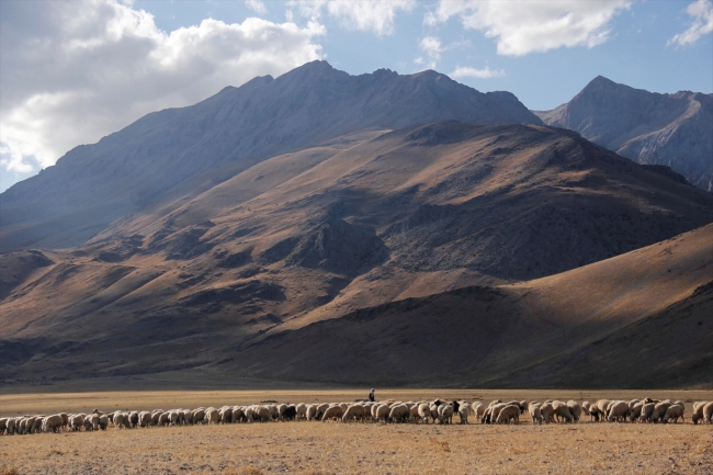 Göçerlerin yayladan köye yolculuğu başladı