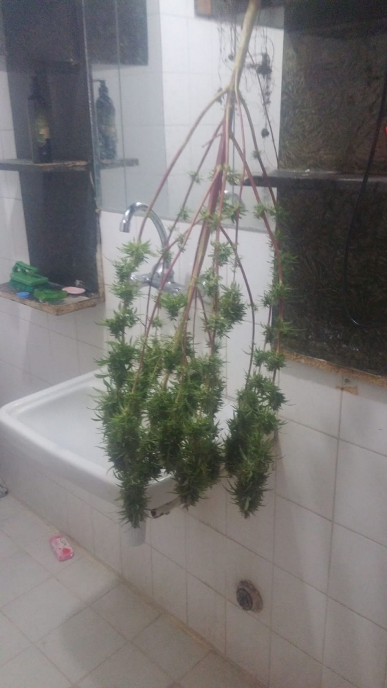 Başkentte zehir tacirlerine operasyon: 4 gözaltı