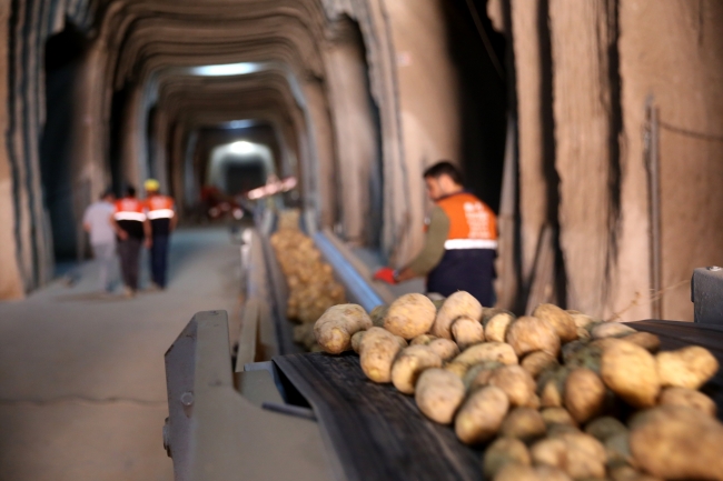Üretimdeki artış patates fiyatını düşürdü