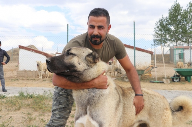 Türk sınırlarını kangallar koruyacak