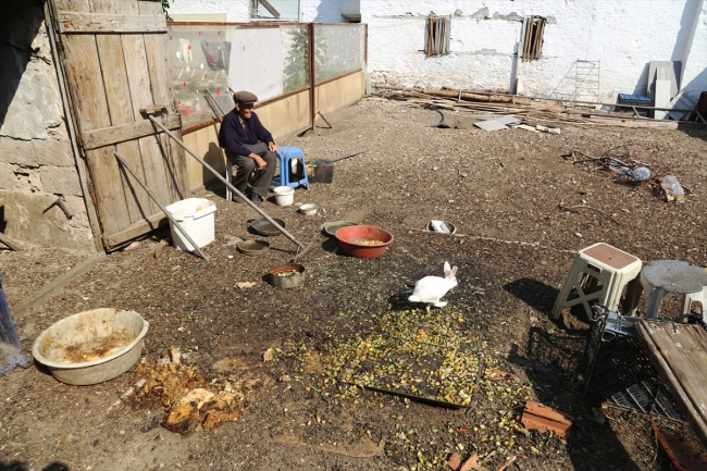 Hayvanları aç kalmasın diye her gün semt pazarına gidiyor