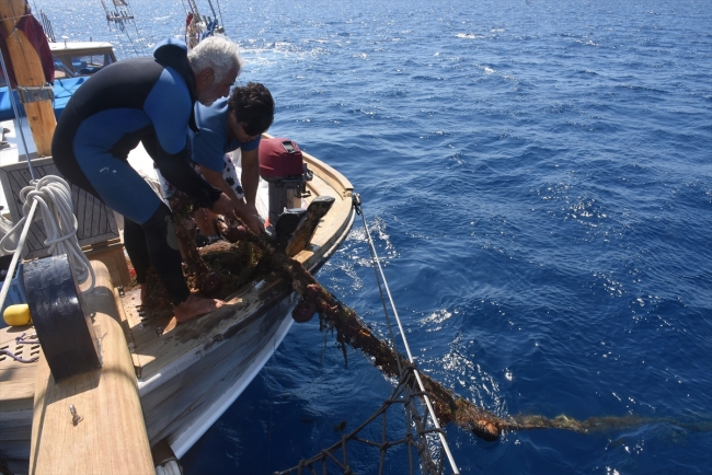 Hayalet ağ avcısı deniz canlılarının hayatını kurtarıyor