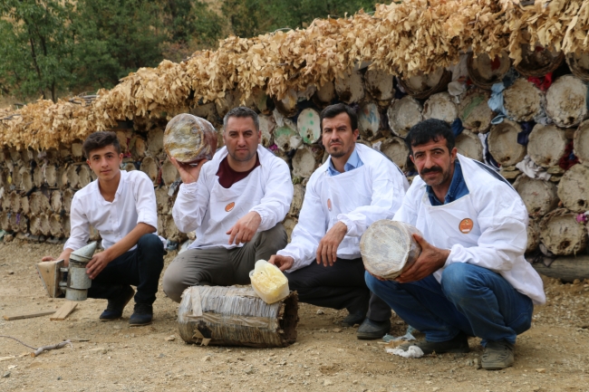 Operasyonlar ile huzura kavuşan Herekol Dağı'nda bal üretimi