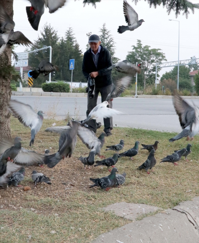 Babasının vasiyetiyle hayatını sokak hayvanlarına adadı