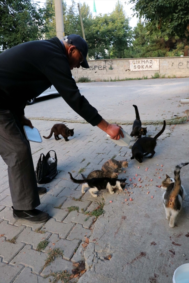 Babasının vasiyetiyle hayatını sokak hayvanlarına adadı