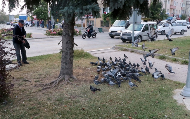 Babasının vasiyetiyle hayatını sokak hayvanlarına adadı