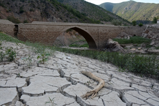 Sular çekilince tarihi Torul Köprüsü ortaya çıktı