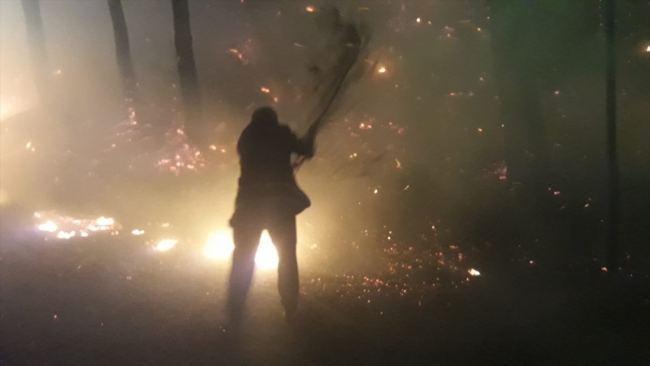 Adana'da orman yangını