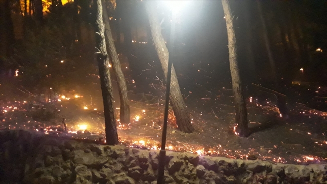 Adana'da orman yangını