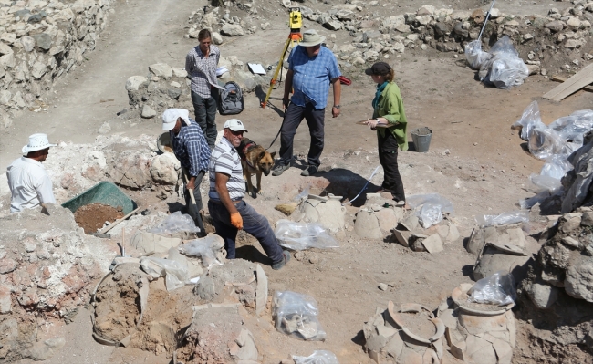 Kazı ekibi sokak köpeklerine sahip çıktı