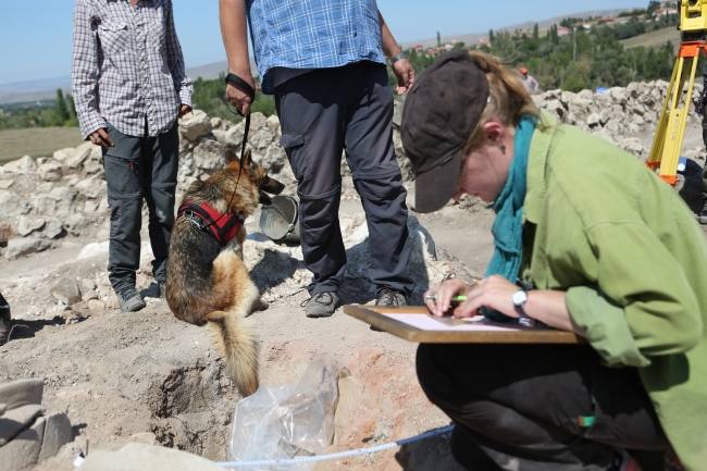 Kazı ekibi sokak köpeklerine sahip çıktı