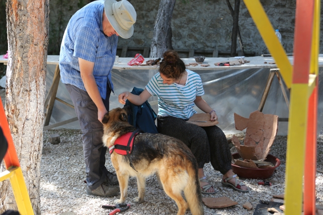 Kazı ekibi sokak köpeklerine sahip çıktı