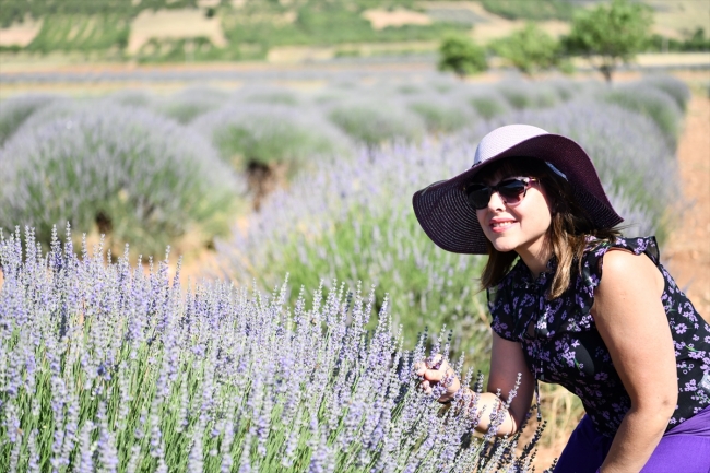 Mor tarlalar 750 bin turist ağırladı