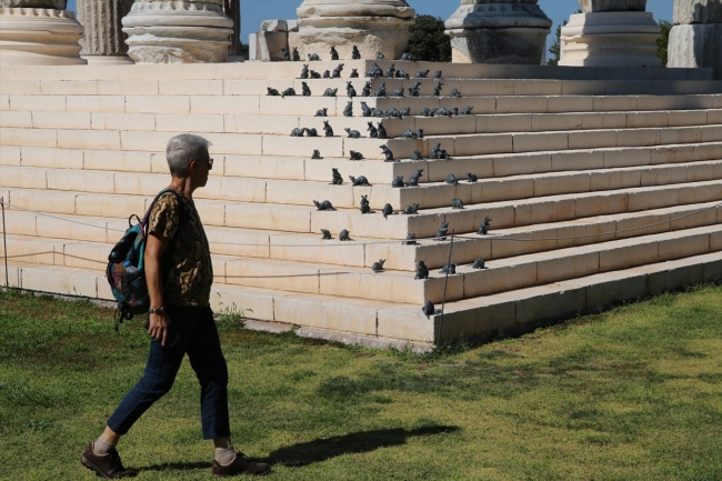 Apollon Smintheus kutsal alanı ziyaretçilerini bekliyor