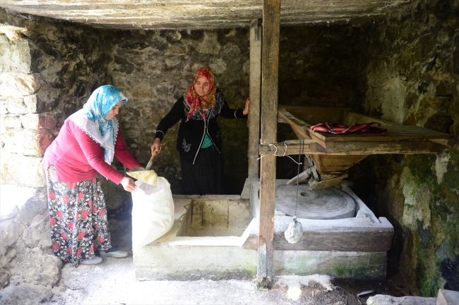 Yedideğirmenler'de mısır unu mesaisi