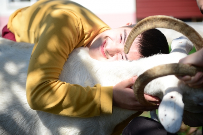 Down sendromlu Yasin'e keçilerle terapi