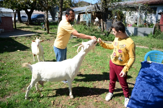 Down sendromlu Yasin'e keçilerle terapi