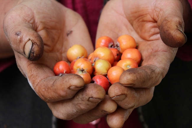 El emeğiyle kazanıp hacca gitmenin hayalini kuruyor