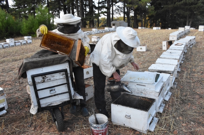Arıcılık sektörü kimlik çalışmasıyla ivme kazanacak