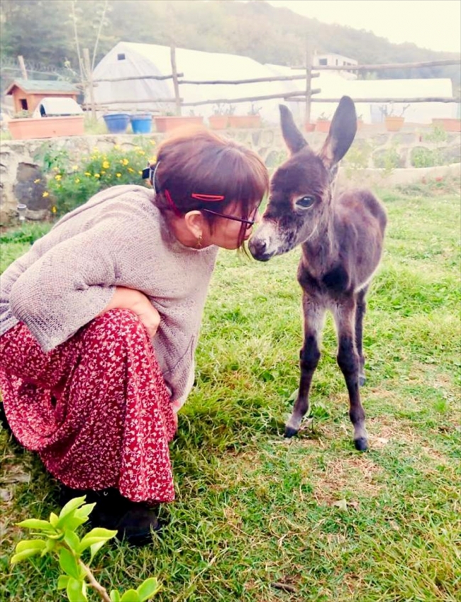 Minik Serçe'nin Bozası yaşama tutunmaya çalışıyor