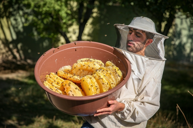 İzmir'den gelip Van'da bal hasadı yaptılar