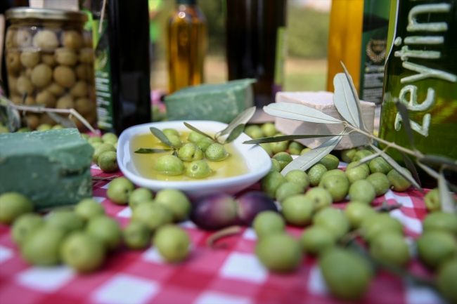 Bu zeytinin kilogramı 5 bin liradan açık artırmayla satılacak